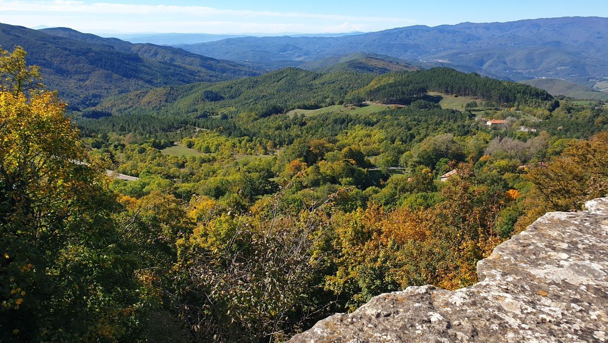 Blick von oben auf den Platz vor dem Petersdom in Rom