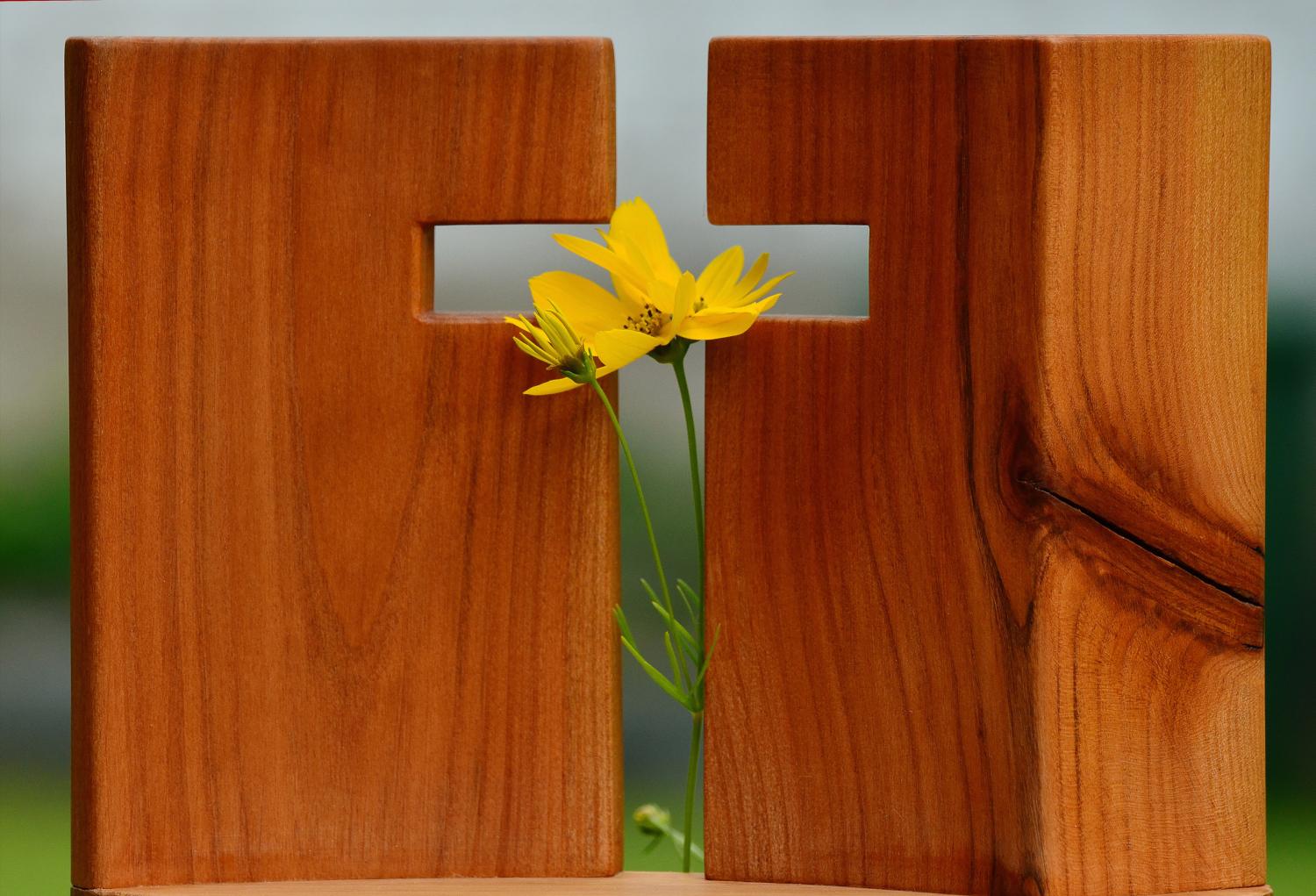 Blume in einem Kreuz als Zeichen der Auferstehung